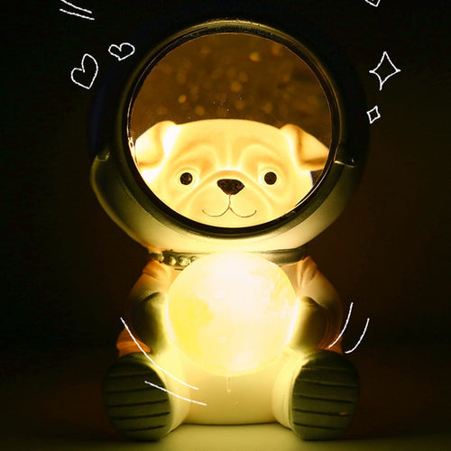 Luminária Pet Astronauta LED . 